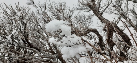 250-231(39-36)RECAMP志高湖 由布岳211_071600