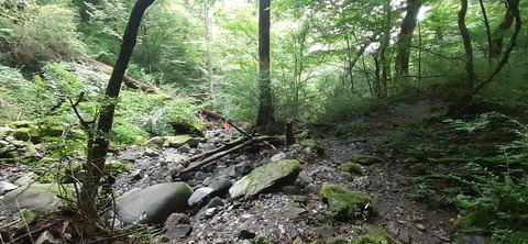 227-210(16-15)スノーピーク奥日田902_134516