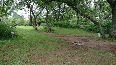 110-95(9-9)高原の里47エイドステ