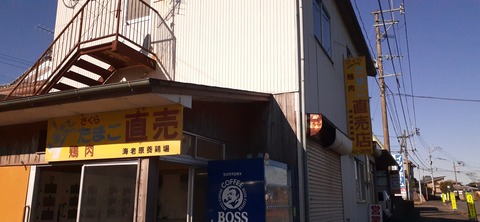 241-224(30-29)奥霧島御池キャンプ場②1125_100446