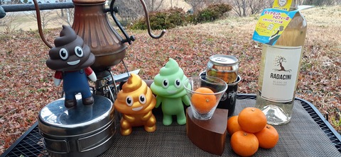 134-119(33-33)ドラゴンキャンプ場29_132341