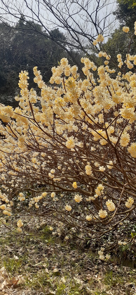 254-235(43-40)長崎鼻リゾート②330_114423