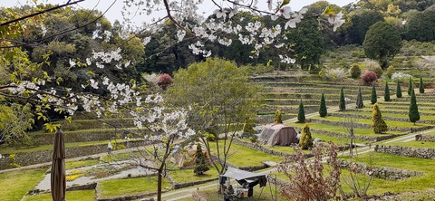 149-134(48-48)橘香園2_133346