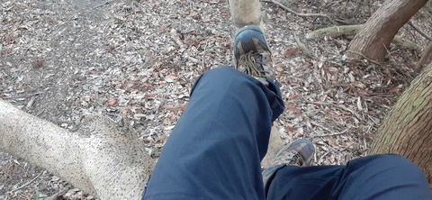 251-232(40-37)大坂山障子ヶ岳218_074748