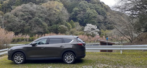 202-186(44-43)八木山渓流公園325_104537