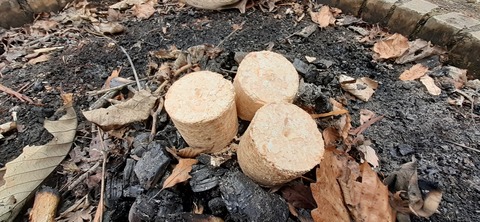 133-118(32-32)中ノ島公園140640