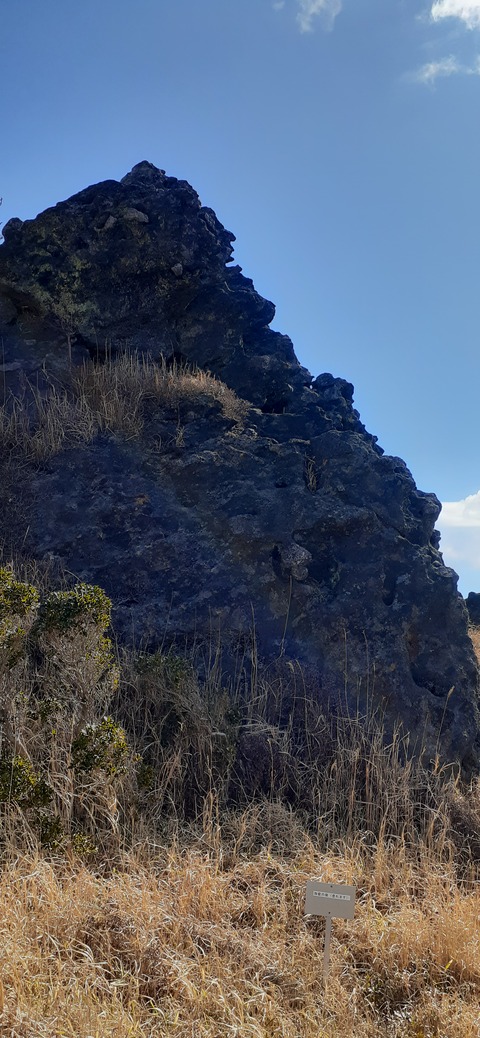 251-232(40-37)伽藍岳ゲリラキャン303_102044