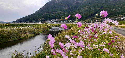 176-161(18-18)坊中野営場1008_120724