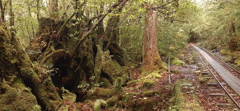 259-240(48-45)宮之浦岳新高塚小屋430_072958