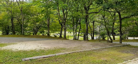 216-200(5-5)山鳥の森623_132423