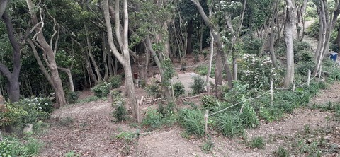 213-197(2-2)レムブランベースC527_132003