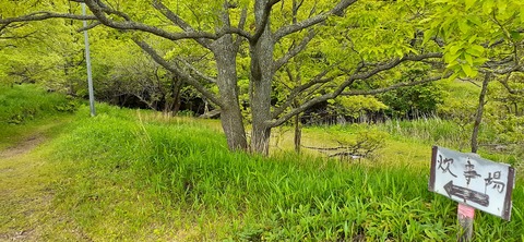 159-144(1-1)遊牧民521_114917