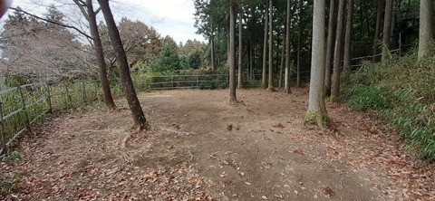 138-123(37-37)sleepy cafe nico22_125554