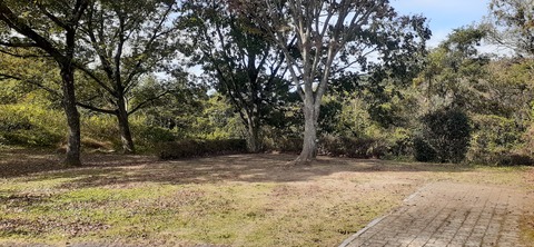 237-220(26-25)るるパーク1111_121940