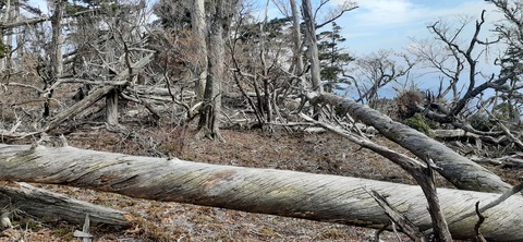 236-219(25-24)大崩山1104_125452