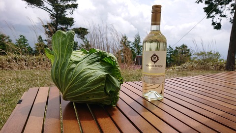 99-84(54-48)四季見原すこやかの森901