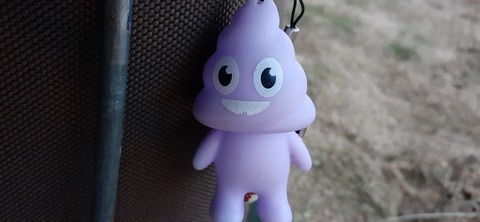 198-182(40-39)キワラビーチ225_175851