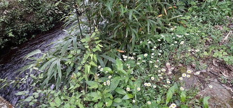 158-143(57-57)陽目の里キャンピングパーク507_140826