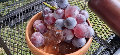 220-203(9-8)ゴンドーシャロレー723_072811