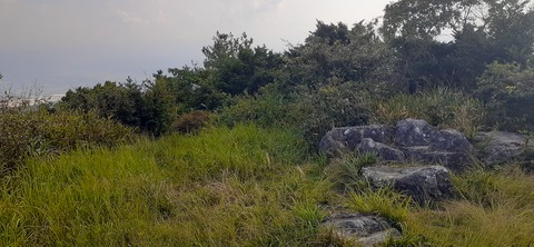 231-214(20-19)牛斬山1001_155759