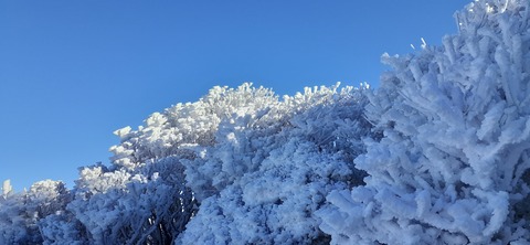 245-227(34-32)法華院温泉山荘104_093319