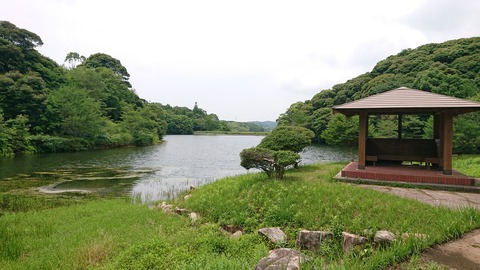 49-39物見山総合公園383S
