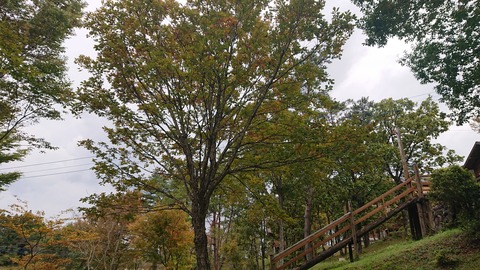 123-108(22-22)カナディアンビレッジ1022