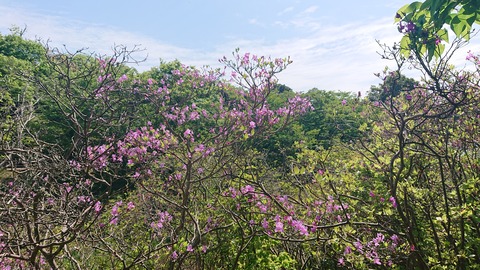 97-82(52-46)江汐公園キャンプ場750