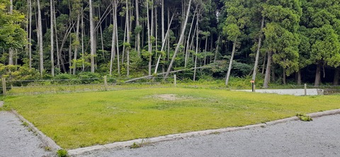 216-200(5-5)山鳥の森623_132053