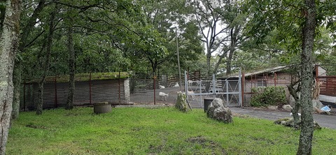 172-157(14-14)くじゅう自然動物園903_144849