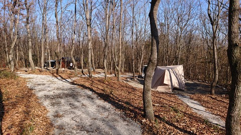 126-111(25-25)CAMP✕WOODS364