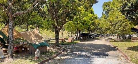 155-140(54-54)うめキャンプ村504_132135