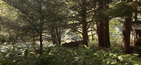 271-251(8-7) 上高地穂高岳813_150012