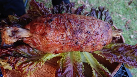 18-15池の山キャンプ場568