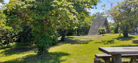 164-149(6-6)長野山緑地公園702_112124