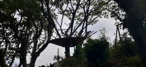 213-197(2-2)レムブランベースC527_132521