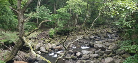 266-247(3-3)天空の杜602_071930