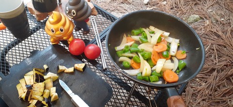 199-183(41-40)山中キャンプ場311_150630