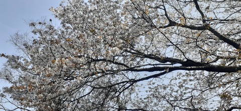 254-235(43-40)長崎鼻リゾート②330_104423