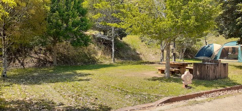 155-140(54-54)うめキャンプ村504_132335