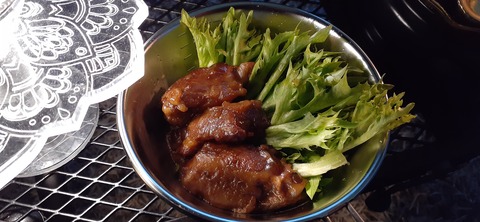 195-179(37-36)redstarworks市ノ瀬キャンプ場218_175816