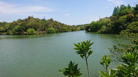 97-82(52-46)江汐公園キャンプ場700