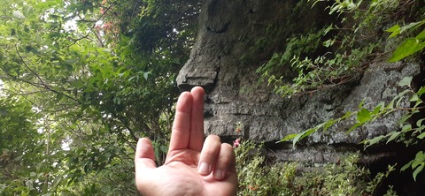268-248(5-4)万年山616_092216