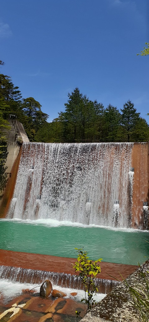 209-193(51-50)えびの高原キャンプ村503_120008