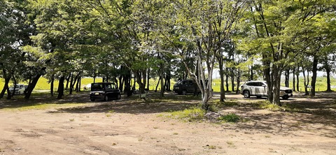 207-191(49-48)津志田河川公園乙女河原501_132331R