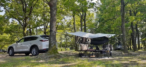 207-191(49-48)津志田河川公園乙女河原501_141754R