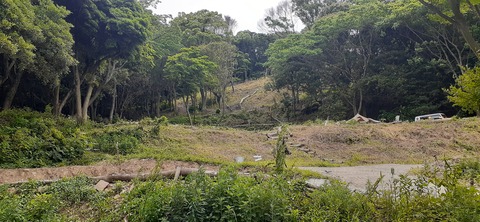 213-197(2-2)レムブランベースC527_131408