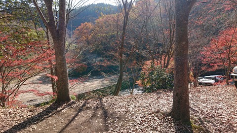 71-58(26-22)遊水峡キャンプ場468S