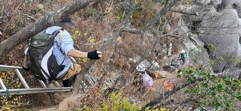 236-219(25-24)大崩山1104_142652