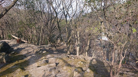 88-74(43-38)昭和の森一本松サイト927